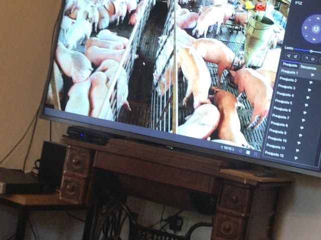 Monitor mostrando varias cámaras en vivo dentro de una vivienda